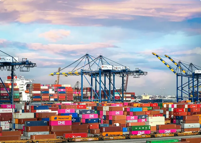 Logistics and Supply Chain